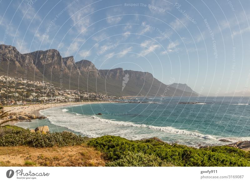 Camps Bay / Südafrika Ferien & Urlaub & Reisen Tourismus Ausflug Abenteuer Ferne Freiheit Sightseeing Städtereise Expedition Natur Landschaft Sand Wasser Himmel