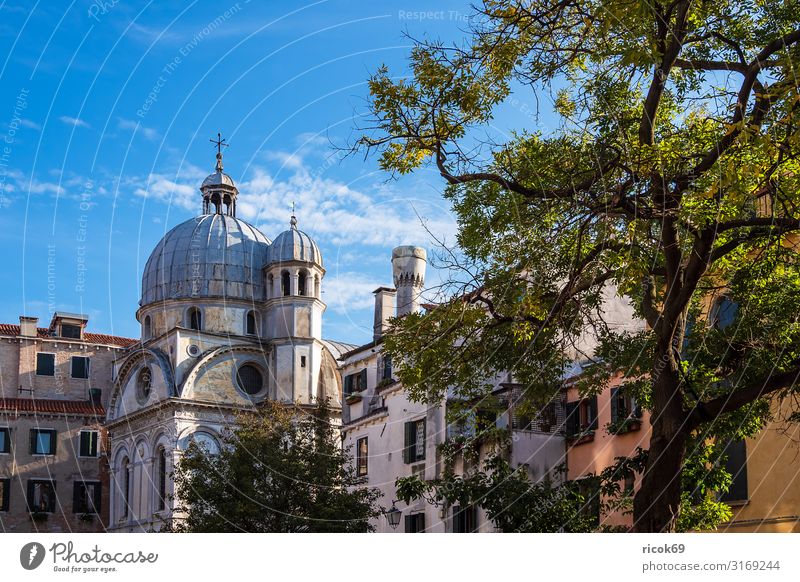 Historische Gebäude in der Altstadt von Venedig in Italien Ferien & Urlaub & Reisen Tourismus Haus Wolken Baum Stadt Bauwerk Architektur Sehenswürdigkeit alt