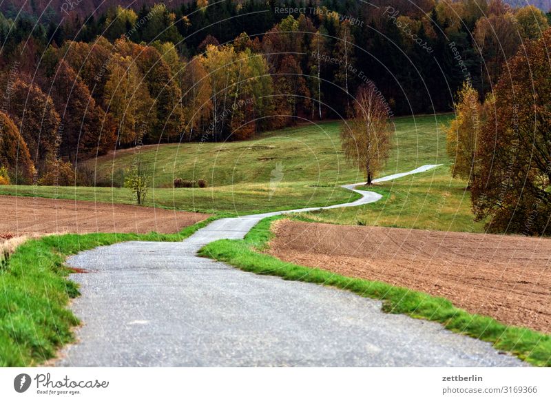 Weg ins Land berg hügel dorf elbsandsteingebirge erholung ferien herbst landschaft laubwald sächsische schweiz wandern wanderung weg wanderweg menschenleer