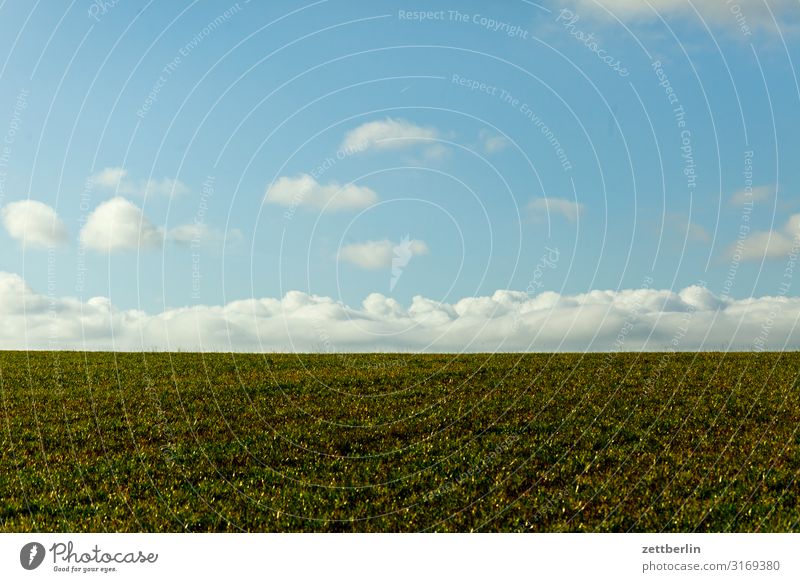 Horizont Hügel Dorf ländlich Elbsandsteingebirge Erholung Ferien & Urlaub & Reisen Herbst Landschaft Sächsische Schweiz wandern Feld Landwirtschaft Weide Ferne