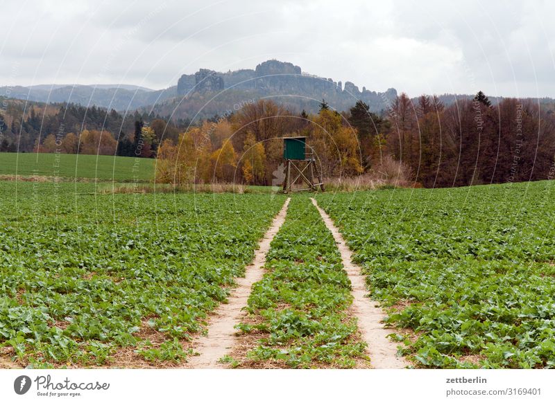 Schrammsteine mit Landwirtschaft berg dorf elbsandsteingebirge erholung felsen ferien herbst hügel landschaft sächsische schweiz wald wandern wanderung acker