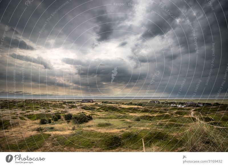 Dünenlandschaft auf Langeoog Ferien & Urlaub & Reisen Tourismus Ausflug Ferne Freiheit Meer Insel Umwelt Natur Landschaft Sand Wolken Gewitterwolken Sträucher