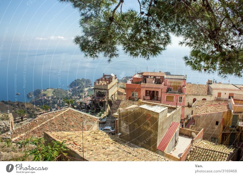 Forza d'Agro Ferien & Urlaub & Reisen Wasser Sommer Schönes Wetter Pflanze Baum Ast Küste Meer Sizilien Dorf Haus Dach schön Wärme blau orange Farbfoto