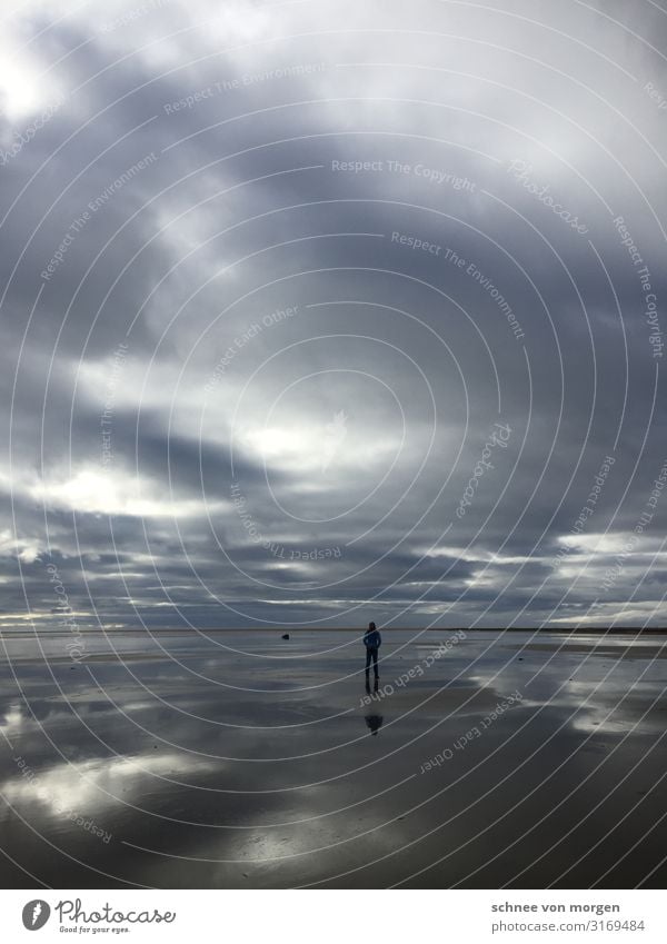 meeresrauschen Mensch Körper Umwelt Natur Landschaft Pflanze Tier Sand Wasser Wolken Gewitterwolken schlechtes Wetter Unwetter Wind Sturm Wellen Fjord Insel