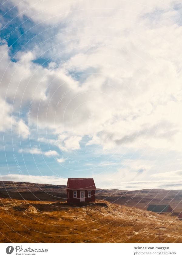 spätherbst auf dem land Umwelt Natur Landschaft Pflanze Tier Himmel Wolken Sonne Sonnenlicht Herbst Klima Schönes Wetter Wiese Fjord Kleinstadt Haus