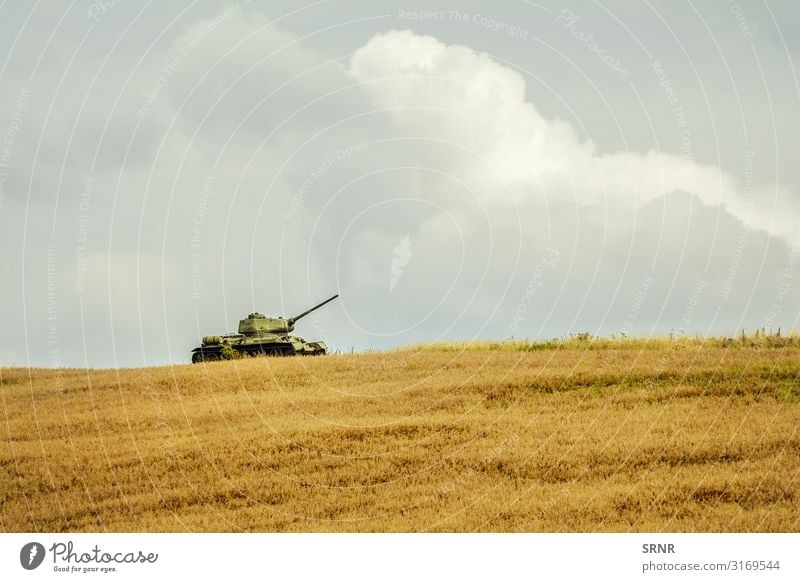 Tank Natur Wiese Fahrzeug alt Krieg Rüstung Panzerung gepanzert Dukla-Pass Europa Feld Kampffahrzeug Geschützturm Kapischowa Kapisova Land Wahrzeichen Flur