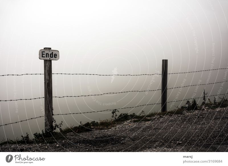 Wochen-Ende Natur Herbst schlechtes Wetter Nebel Stacheldrahtzaun Schilder & Markierungen Hinweisschild Warnschild dunkel Einsamkeit Warnhinweis bedrohlich