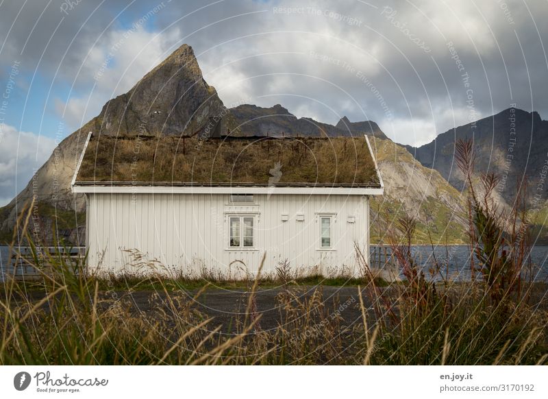 Dachbegrünung Ferien & Urlaub & Reisen Umwelt Natur Landschaft Wolken Herbst Wiese Berge u. Gebirge Fjord Reinefjorden Reine Rorbuer Norwegen Lofoten