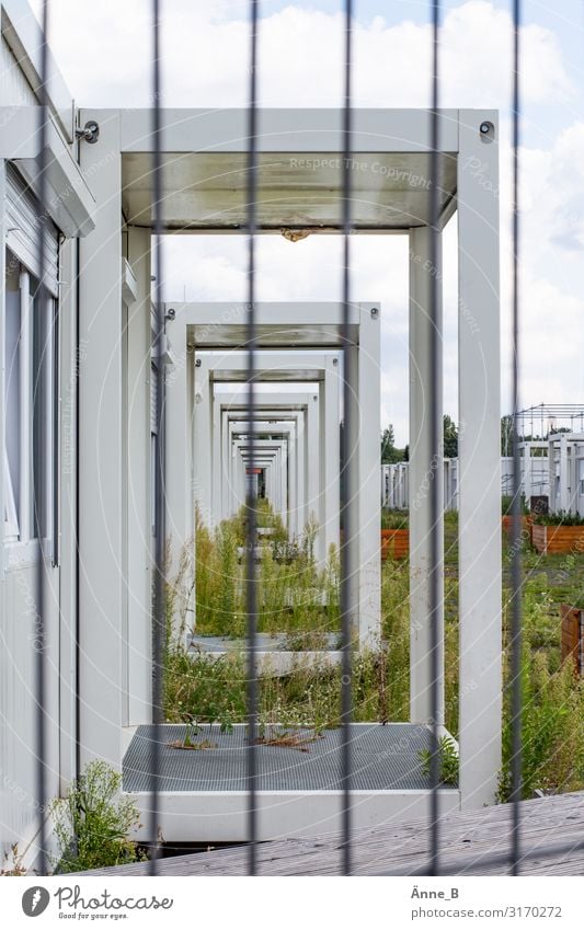 Verlassen Wohnung Wohncontainer Architektur Pflanze Gras Grünpflanze Wildpflanze Unkraut Gebäude Container heimatlos Wohnheim Unterkunft Notunterkunft Eingang