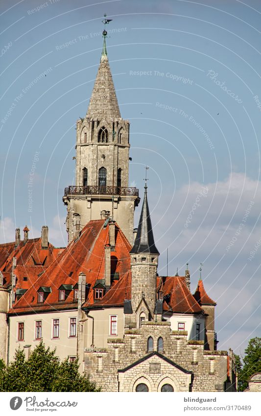 Schloss Sigmaringen Ferien & Urlaub & Reisen Tourismus Ausflug Sightseeing Städtereise Wohnung Architektur Kultur Burg oder Schloss Turm Bauwerk Gebäude Mauer