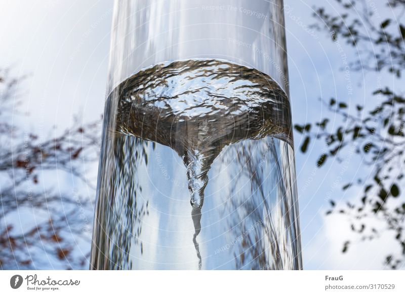 Reinheitsgebot | klares Wasser Rohr durchsichtig Strudel drehen Bewegung Zweige Herbst Himmel