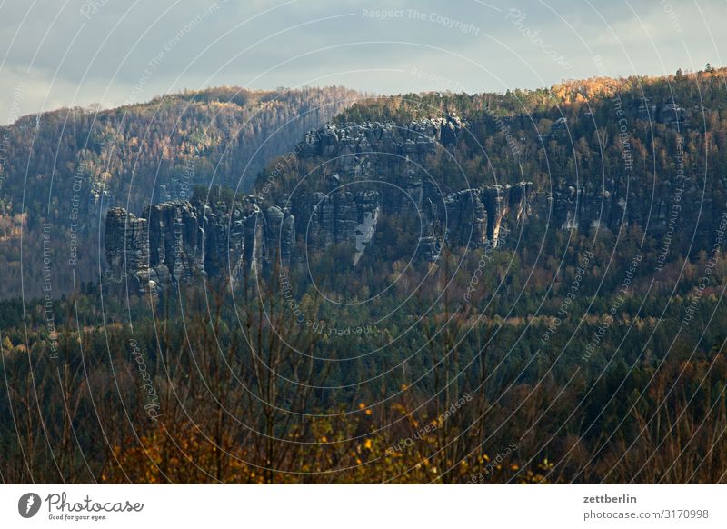 Schrammsteine Berge u. Gebirge Hügel Dorf Elbsandsteingebirge Erholung Felsen Ferien & Urlaub & Reisen Herbst Landschaft Laubwald Sächsische Schweiz Wald