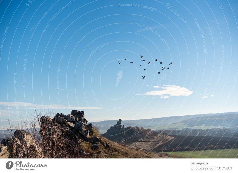 Ausflug Natur Landschaft Erde Feuer Himmel Sommer Herbst Schönes Wetter Felsen Berge u. Gebirge Teufelsmauer Vogel Schwarm fliegen Unendlichkeit blau braun