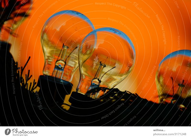 Glühbirnen vor orangem Hintergrund Glühfadenlampe Licht Lichtquelle Beleuchtung incandescent lamp Technik & Technologie Elektrizität Energiewirtschaft