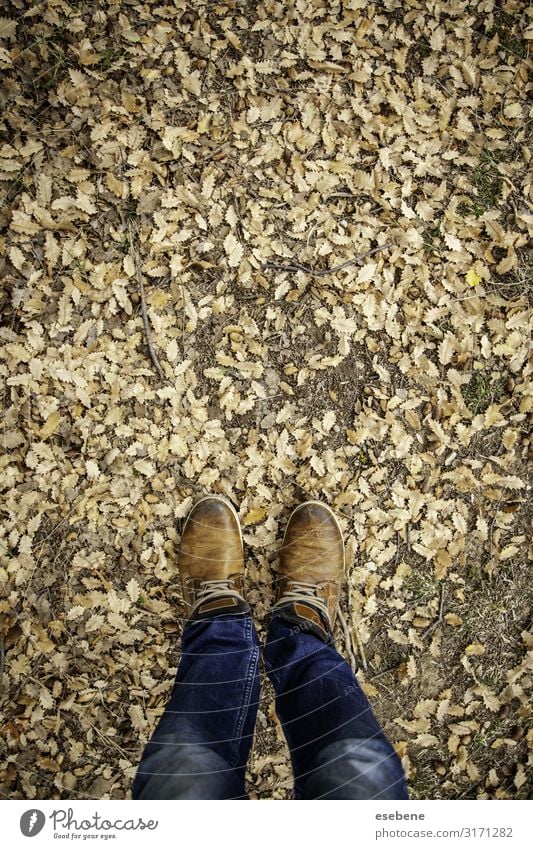 Füße in abgefallenen Blättern Lifestyle Stil wandern Mensch Frau Erwachsene Mann Fuß Natur Herbst Blatt Park Wald Mode Jeanshose Schuhe Stiefel Turnschuh