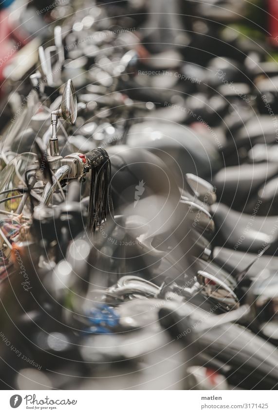 Familientreffen Verkehrsmittel Personenverkehr Straßenverkehr Motorrad Coolness glänzend blau grau schwarz weiß Harleytreffen Rückspiegel parken Farbfoto