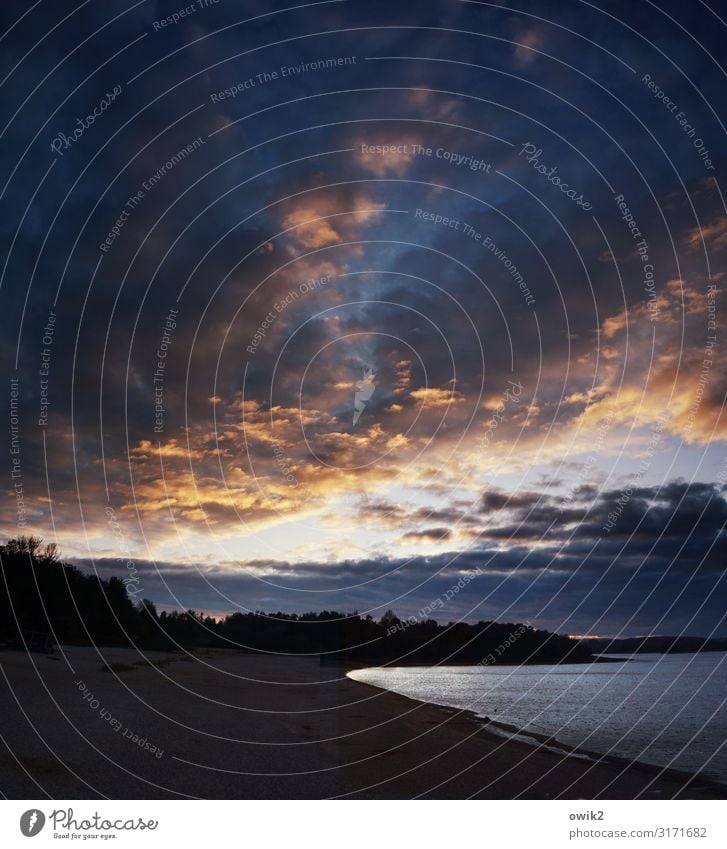 Letztes Leuchten Umwelt Natur Landschaft Luft Wasser Himmel Wolken Horizont Schönes Wetter Wald Seeufer Strand leuchten dunkel ruhig Traurigkeit Sorge Trauer