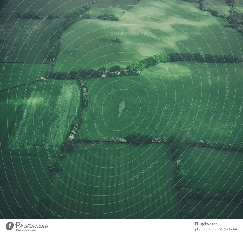 Feld & Wiesen Luftaufnahme Drohne grün Flugzeug fliegen Luftverkehr Aussicht Landschaft Landwirt Bauernhof Wald