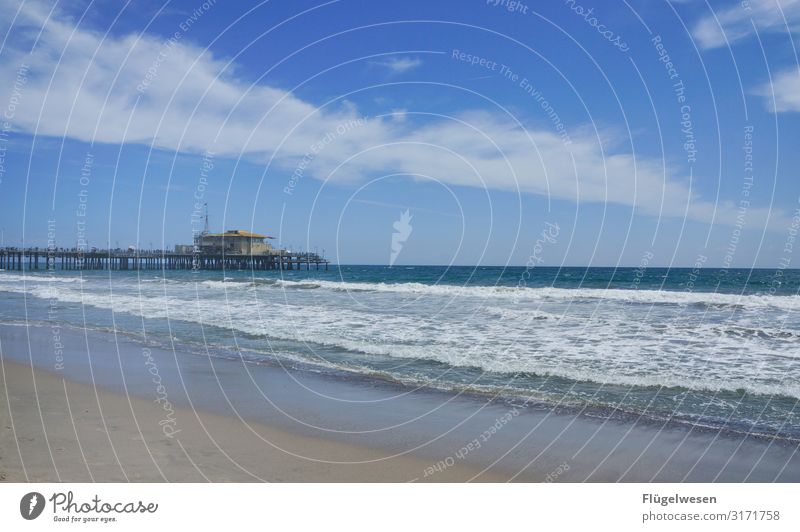 Beach LA Strand Malibu Santa Monica USA Amerika Los Angeles Palme Himmel Sommer Ferien & Urlaub & Reisen Sonne Sonnenbad Schwimmen & Baden Meer Atlantik Pazifik