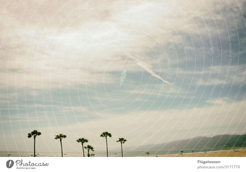 Beach Strand Malibu Santa Monica Usa Amerika LA Los Angeles Palme Himmel Sommer Ferien & Urlaub & Reisen Sonne Sonnenbad Schwimmen & Baden Meer Atlantik Pazifik