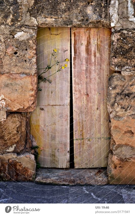 Lichtblick (2) Ferien & Urlaub & Reisen Ausflug Sommerurlaub Haus Pflanze Blüte Grünpflanze Dorf Altstadt Menschenleer Mauer Wand Holztür Wege & Pfade Gasse