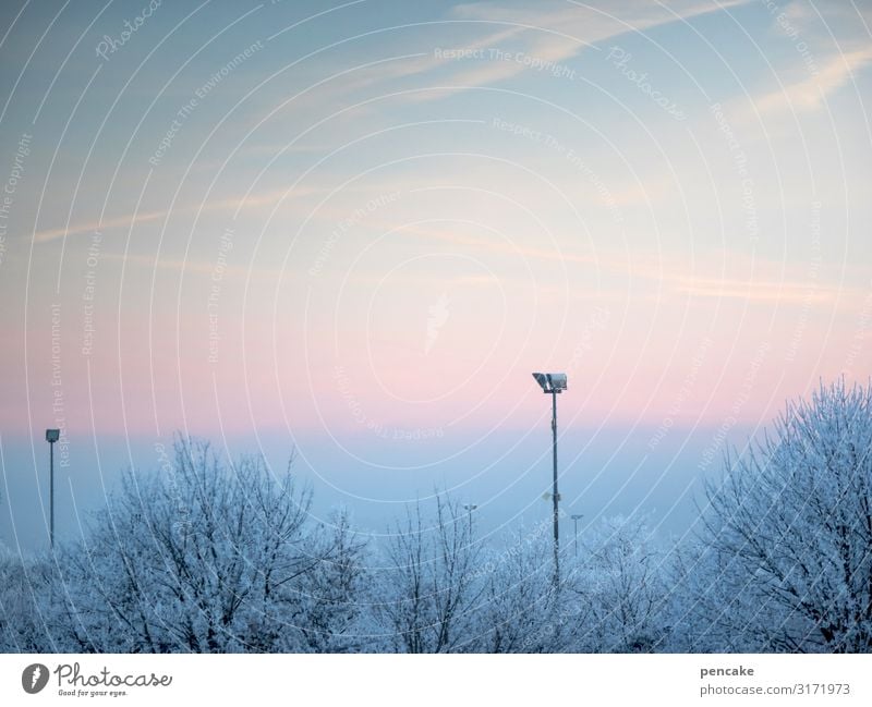 eiszeit | landgiraffen Natur Landschaft Klima Wetter Eis Frost Baum Park frisch kalt Eiszeit Überwachung Flutlicht Lampe Raureif Stadion Farbenspiel Giraffe