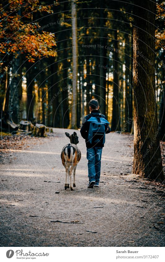 A magical journey Mensch maskulin Kind Junge Junger Mann Jugendliche Bruder Kindheit 1 8-13 Jahre Natur Erde Sonnenaufgang Sonnenuntergang Sonnenlicht Herbst