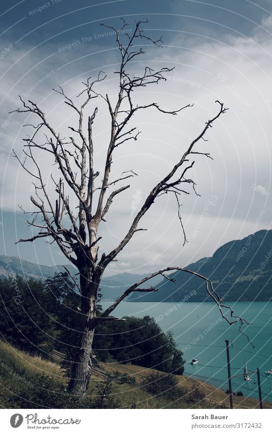 Weit Ferien & Urlaub & Reisen Tourismus Ferne Berge u. Gebirge wandern Natur Landschaft Wasser Himmel Wolken Hügel See Segelboot Schienenverkehr entdecken