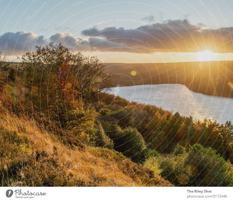 Sonnenuntergang über der Moorlandschaft von Yorkshire Umwelt Natur Landschaft Erde Wasser Horizont Herbst Baum Blume Gras Sehenswürdigkeit genießen laufen