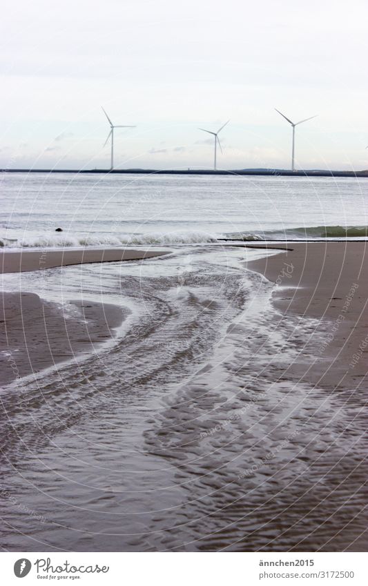 Ich suche mir den Weg zum Meer Strand Niederlande Ferien & Urlaub & Reisen Erholung Natur Sand Wasser Außenaufnahme Wellen Rauschen Luft Schaum Herbst Pause