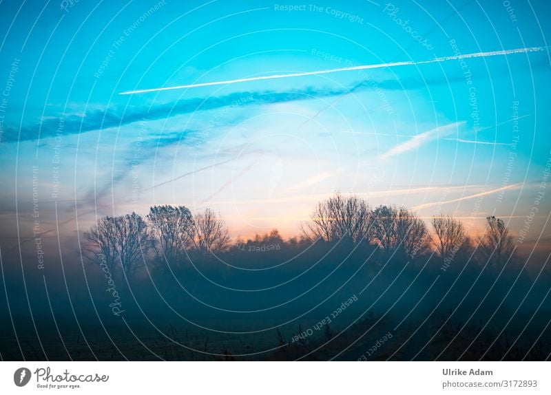 Kondensstreifen bei Sonnenaufgang über dem Teufelsmoor bei Worpswede Himmel Luftverkehr Freiheit Ferien & Urlaub & Reisen Schönes Wetter blau Außenaufnahme