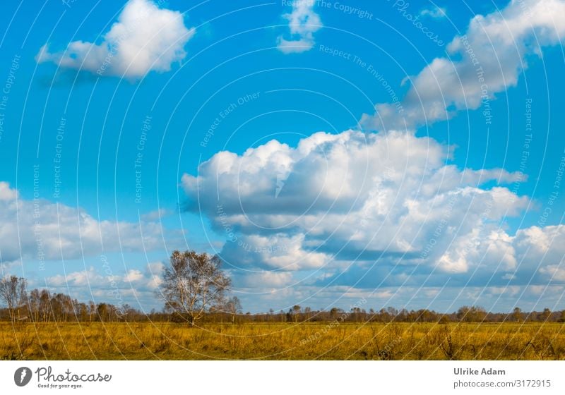 Weites Land Wellness harmonisch Zufriedenheit Erholung ruhig Meditation Spa Tourismus Freiheit Tapete Umwelt Natur Landschaft Himmel Wolken Horizont Frühling