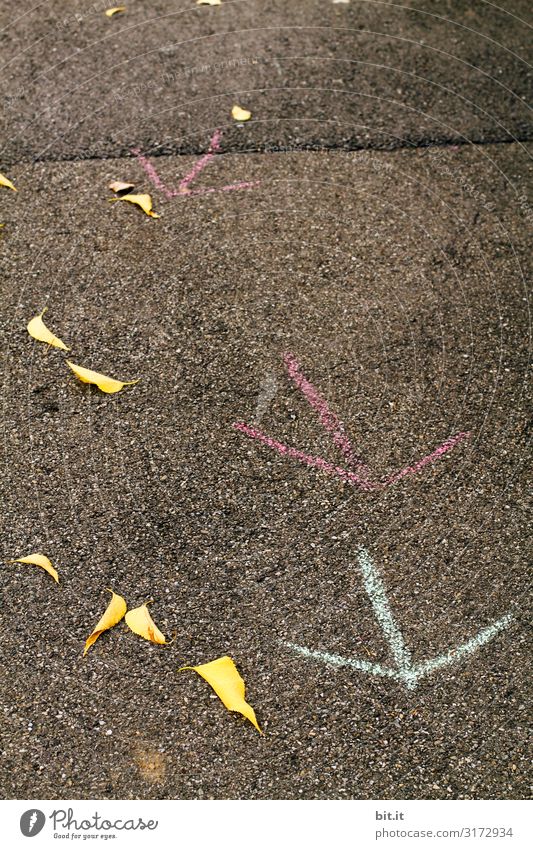 Hier gehts Richtung Sommer Klima Klimawandel Verkehrswege Zeichen Schilder & Markierungen Hinweisschild Warnschild Graffiti fallen dehydrieren alt unten Stadt