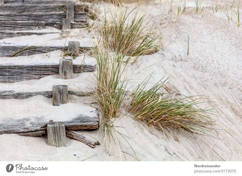 Treppe zum Strand Ferien & Urlaub & Reisen Tourismus Meer Natur Landschaft Sand Sommer Gras Küste Nordsee Ostsee Wege & Pfade Holz alt maritim retro Holztreppe