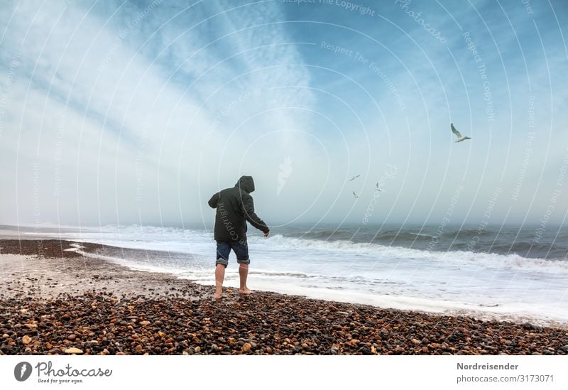 Stell dich dem Novemberblues Gesundheit Leben Ferien & Urlaub & Reisen Strand Meer Wellen Mensch maskulin Junger Mann Jugendliche Erwachsene Natur Landschaft