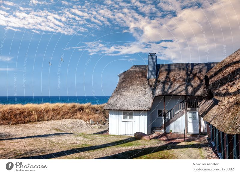 Wohnen an der Ostsee Ferien & Urlaub & Reisen Tourismus Sommerurlaub Strand Meer Haus Traumhaus Landschaft Wasser Wolken Sonne Frühling Herbst Schönes Wetter