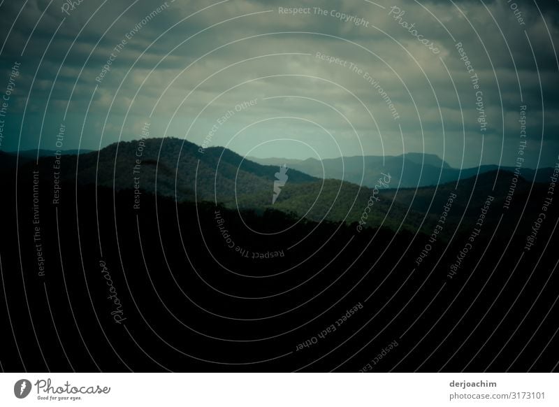 In den Bergen. Wandern im Hinterland von Queensland . Hohe Berge und viele Wolken. Freude Erholung Ausflug Landschaft Sommer Schönes Wetter Baum