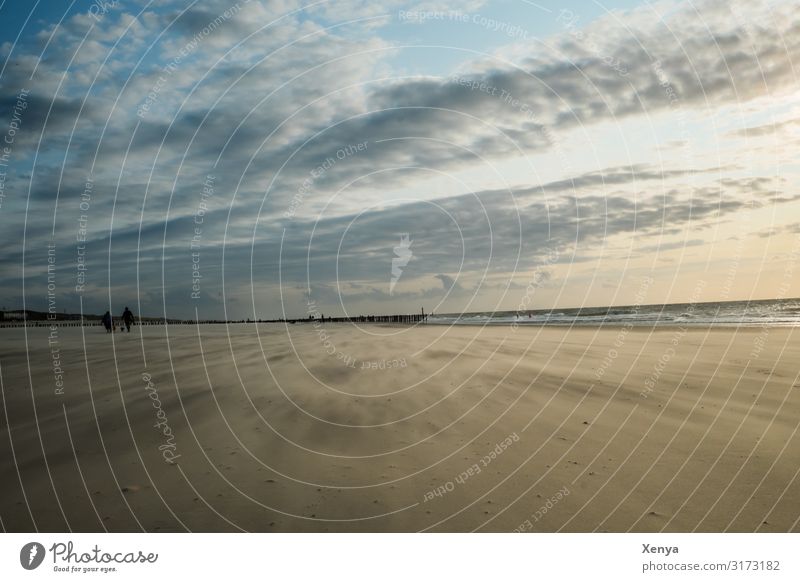 Strand am Meer Strandspaziergang Meereslandschaft Wolkenhimmel Urlaubsort Sommerferien Wind Ferien & Urlaub & Reisen Außenaufnahme Natur Sand Wasser Tourismus