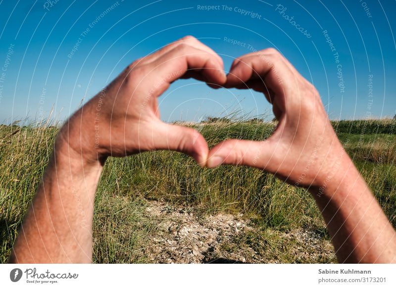 Herz maskulin Mann Erwachsene Hand Finger 1 Mensch Natur Landschaft Himmel Wolkenloser Himmel Sommer Schönes Wetter Küste Nordsee Düne Erholung träumen