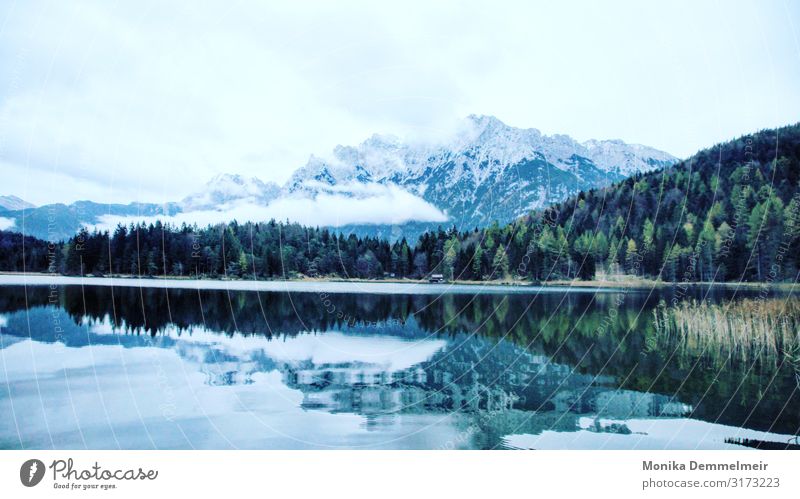 Seeliebe Wasser ruhig Reflexion & Spiegelung Natur Landschaft Außenaufnahme Menschenleer Farbfoto Seeufer Idylle Erholung Wasseroberfläche Himmel