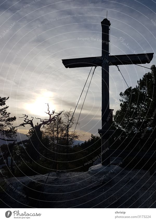 ganz oben Umwelt Natur Landschaft Himmel Wolken Horizont Sonne Dürre Baum dürrer Baum Berge u. Gebirge Freienstein Gipfel Gipfelkreuz fantastisch Unendlichkeit