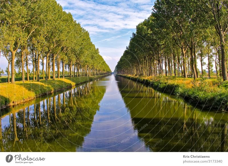 Reflexionen Natur Landschaft Pflanze Wasser Frühling Sommer Baum Bach Fluss Holz blau grün Reflexion & Spiegelung Kanal Leopold-Kanal Belgien Landschaftspflege