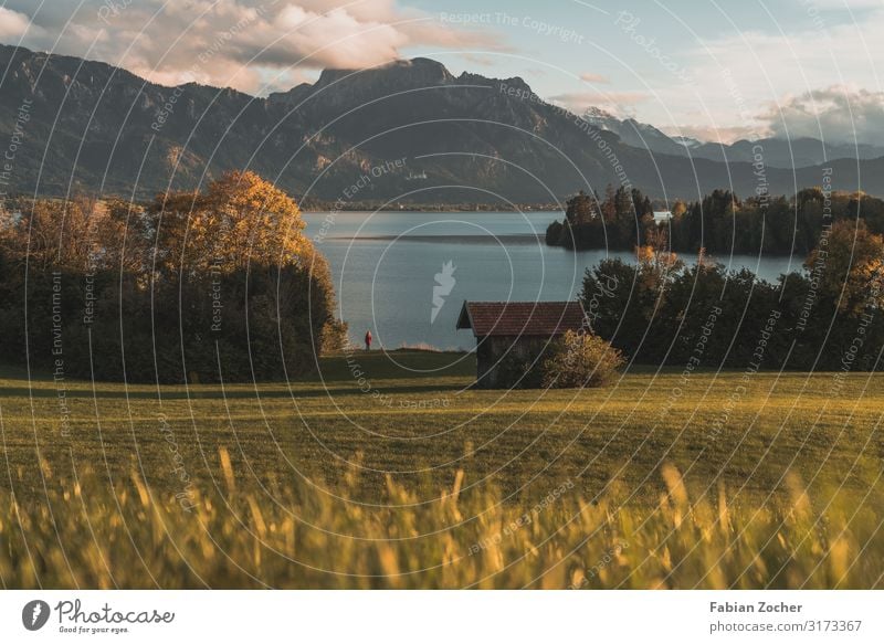 Sonnenuntergang am Forggensee Berge u. Gebirge Natur Landschaft Erde Wasser Wolken Sonnenaufgang Herbst schlechtes Wetter Pflanze Baum Alpen Tegelberg Gipfel