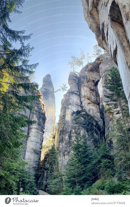 Adršpach Klettern Bergsteigen wandern Natur Landschaft Urelemente Sommer Schönes Wetter Baum Wald Felsen Berge u. Gebirge Tourismus Sandstein Böhmen