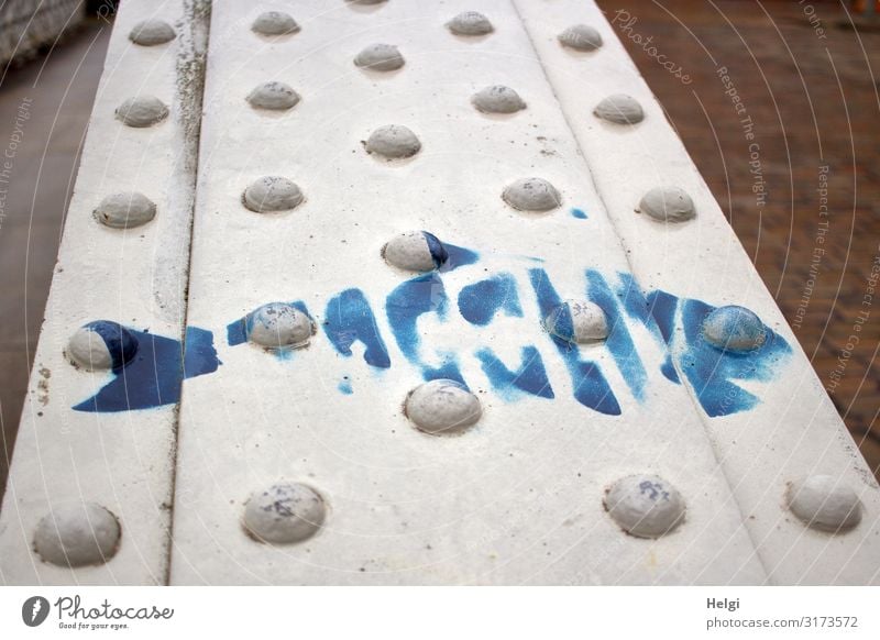 Detailaufnahme einer Metallbrücke mit aufgemaltem blauem Fisch Brücke Zeichen authentisch außergewöhnlich einzigartig grau weiß bizarr Design Kreativität