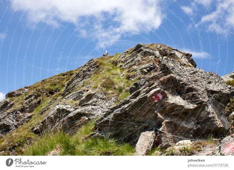 Wanderweg mit Wegsicherung Alpen Berge u. Gebirge Himmel Menschenleer Schönwetterwolken Blauer Himmel Zillertaler Alpen wanderweg Wanderwegmarkierung