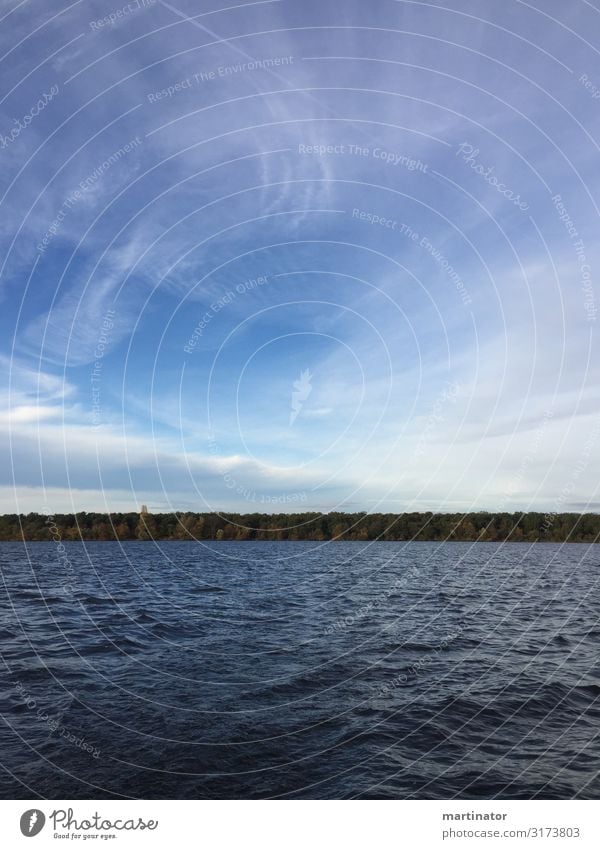 Herbst auf dem Müggelsee Großer Müggelsee Wasser Segeln Natur Wald Himmel Wolken Wassersport Landschaft Erholung Copyspace Wellen Köpenick Friedrichshagen