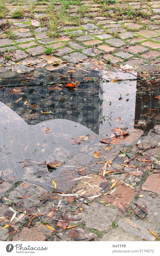 Wasserpfütze | UT Hamburg Tourismus Sightseeing Herbst schlechtes Wetter Gras Hafenstadt Bauwerk Fassade Sehenswürdigkeit Wahrzeichen braun grau grün schwarz