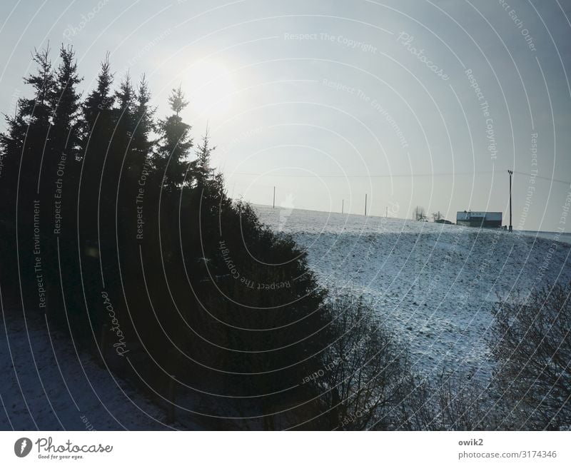 Leben am Abgrund Umwelt Natur Landschaft Luft Wolkenloser Himmel Horizont Sonne Sonnenaufgang Sonnenuntergang Winter Schnee Baum Gras Wiese Wald Thüringen