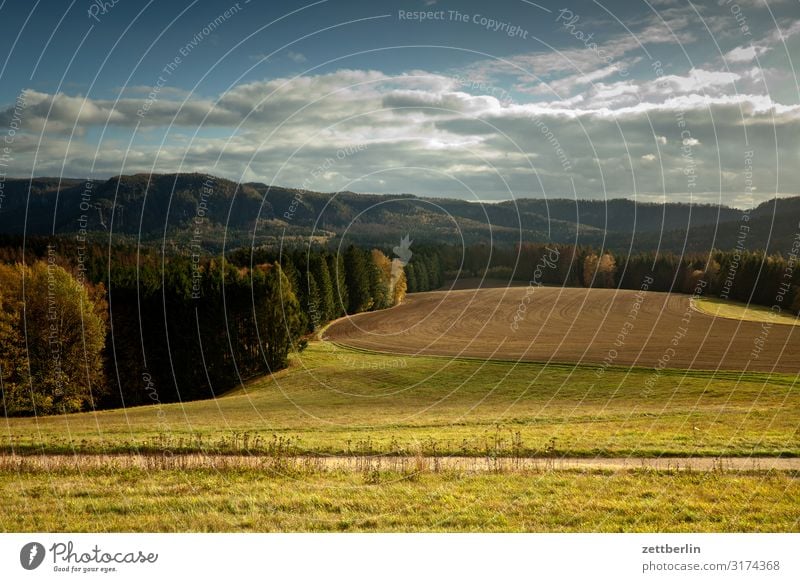 Hintere Sächsische Schweiz berg hügel dorf elbsandsteingebirge erholung felsen ferien herbst landschaft laubwald sächsische schweiz wandern wanderung licht